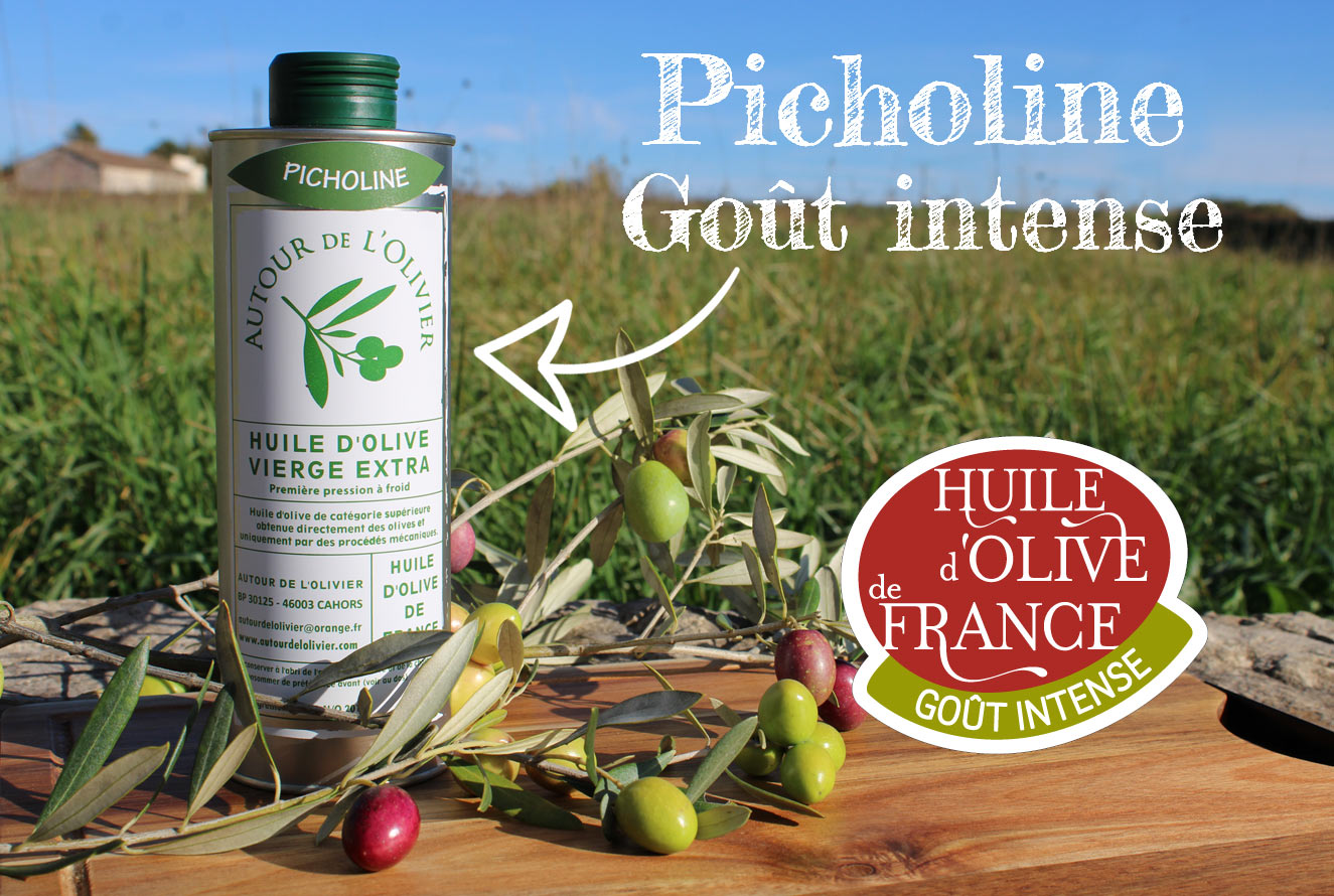 Huile d’olive Picholine